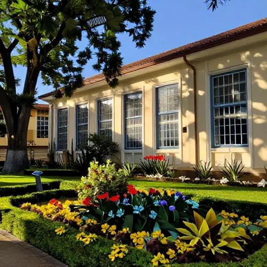 Centro Espírita Vianna de Carvalho: Um Refúgio Espiritual