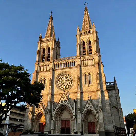 Descubra a Catedral Das Neves