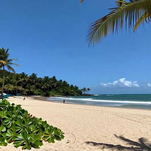 Descubra a Praia da Penha em João Pessoa: Uma Joia do Litoral Paraibano