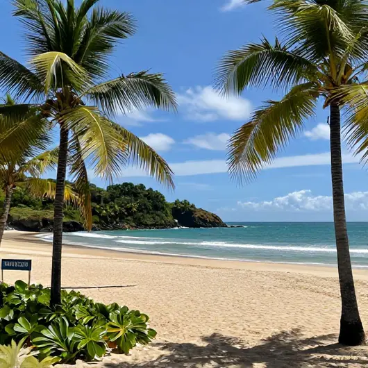 Descubra a Praia de Coqueirinhos