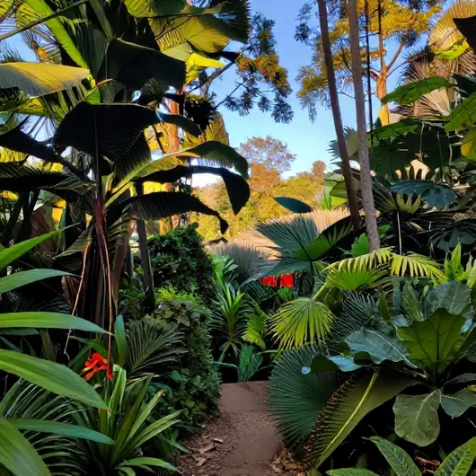 Descubra a Reserva Manaíra