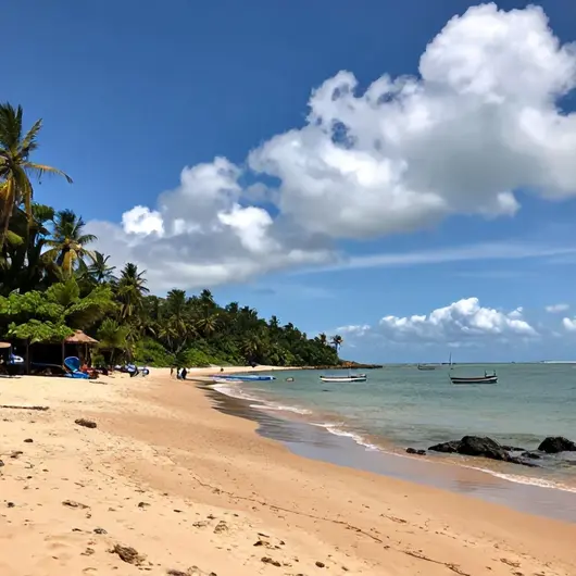 Descubra as Maravilhas da Praia de Areia Vermelha em João Pessoa Descubra as Maravilhas da Praia de Areia Vermelha em João Pessoa