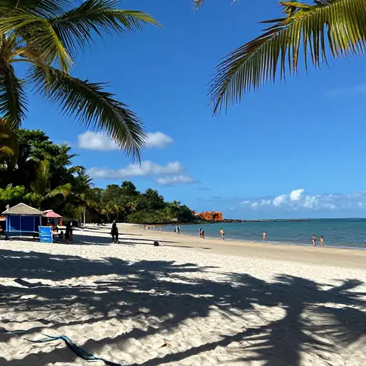 Descubra as Maravilhas da Praia de Tambaba em João Pessoa - PB