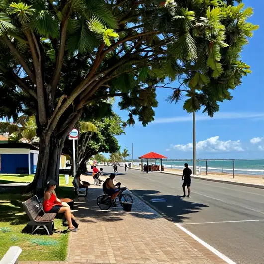 Descubra o Calçadão Da João Pessoa