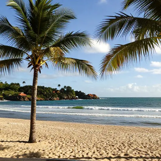Descubra o Melhor do Turismo João Pessoa Pb Descubra o Melhor do Turismo João Pessoa Pb