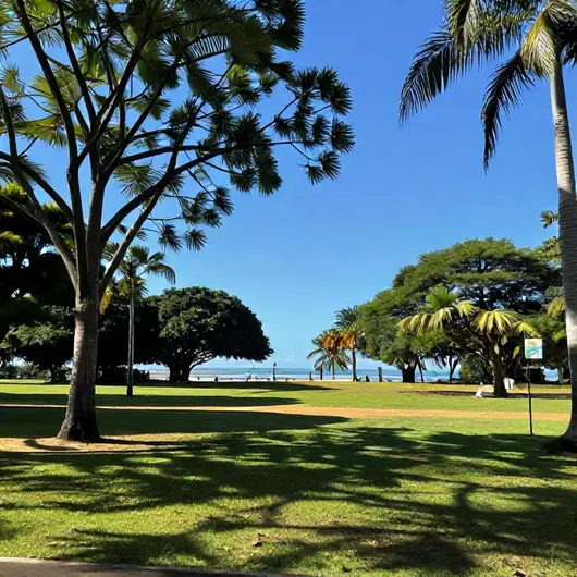 Descubra o Parque dos Tesouros Descubra o Parque dos Tesouros