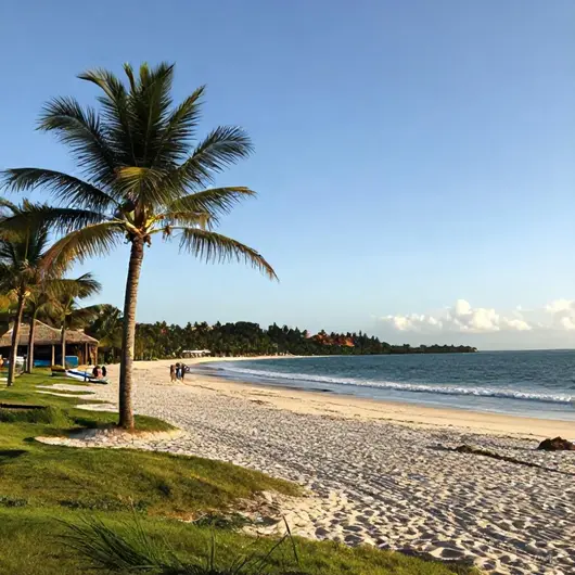Descubra Praia Bela: Um Refúgio Natural em João Pessoa Descubra Praia Bela: Um Refúgio Natural em João Pessoa