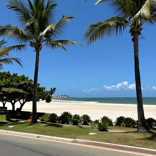 Guia Prático de Translado para Praias em João Pessoa Guia Prático de Translado para Praias em João Pessoa