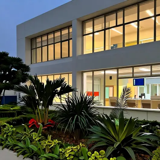 Hospital Veterinário 24h Hospital Veterinário 24h