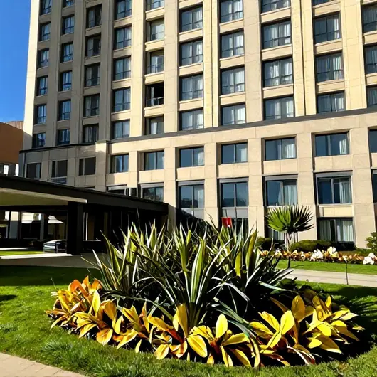 Icon Hotel: Conforto e Estilo em Sua Estadia