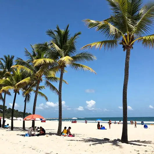 Melhores atrações turísticas em João Pessoa: 7 escolhas imperdíveis